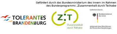 ZDT BMI Logo